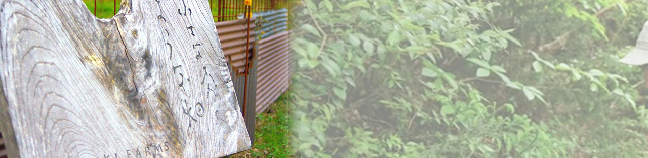 ”石見銀山生活文化研究所”漢字が並ぶ文字を辿った移住