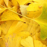 町を語る人との出会いから始まった移住