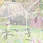 やまのおきてがみ