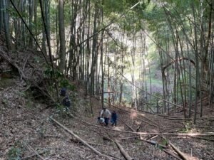 竹林整備×子どもの遊び場づくりプロジェクト