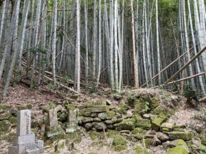 竹林整備×子どもの遊び場づくりプロジェクト