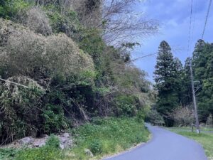 竹林整備×子どもの遊び場づくりプロジェクト