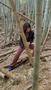 竹林整備×子どもの遊び場づくりプロジェクト